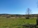 IMG_20260501_153936 (1)